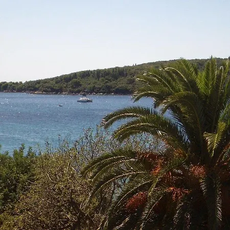 Dario - One Bedroom With Terrace And Sea View Apartmán