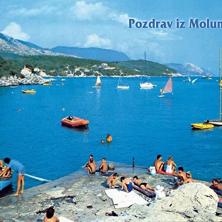 Dario - One Bedroom With Terrace And Sea View